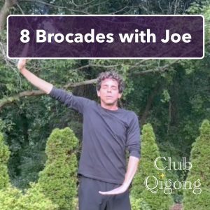 8 Brocades with Joe