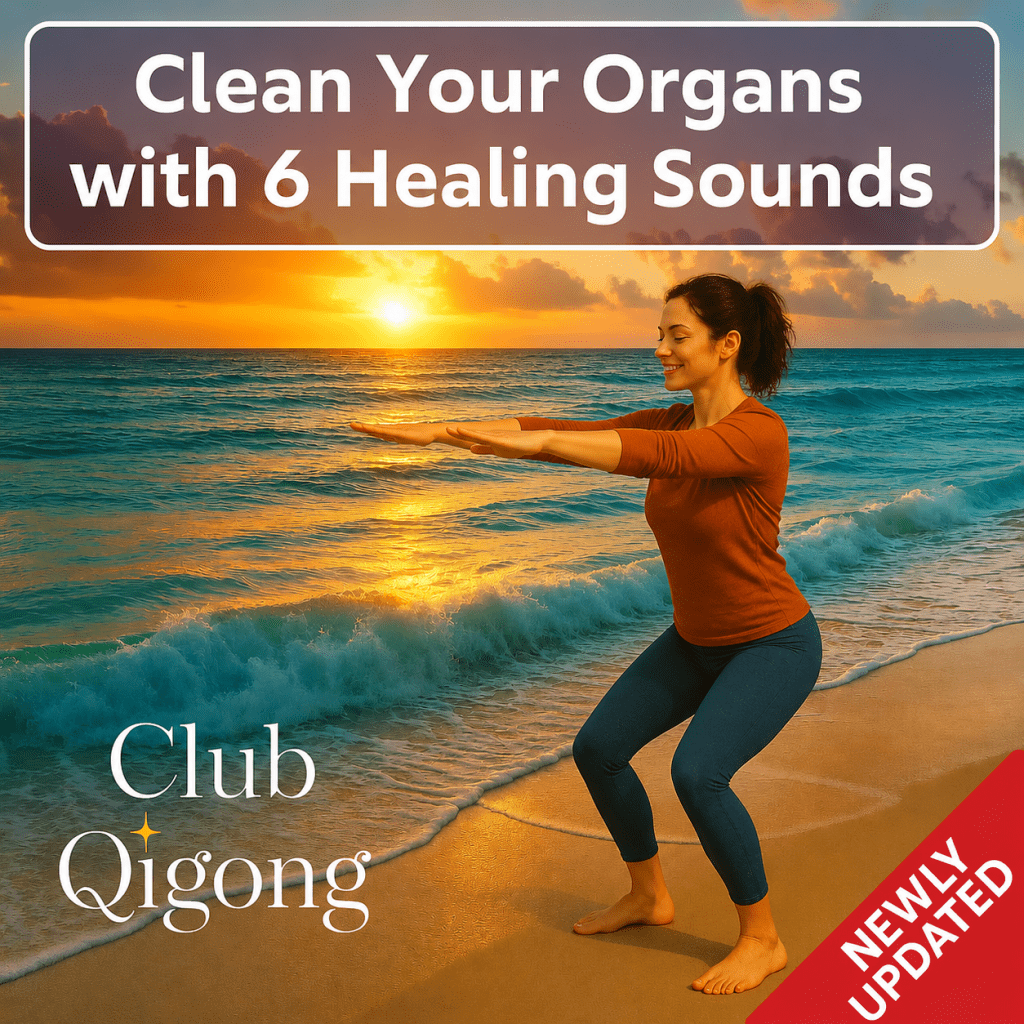 6 Healing Sounds – with “Throwing Out the Trash” 6 Healing Sounds – with “Throwing Out the Trash”