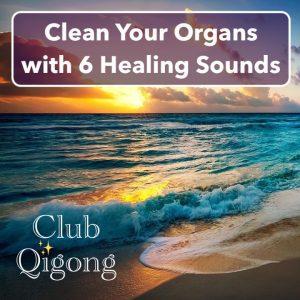 6 Healing Sounds in Qigong