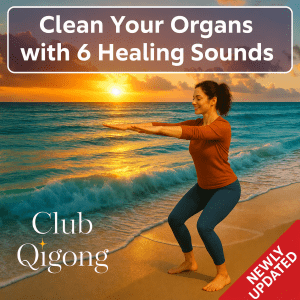Woman practicing the Six Healing Sounds Qigong on a beach at sunset, standing in a low stance with both arms extended straight forward, beneath the title βClean Your Organs with 6 Healing Soundsβ and a βNewly Updatedβ banner.