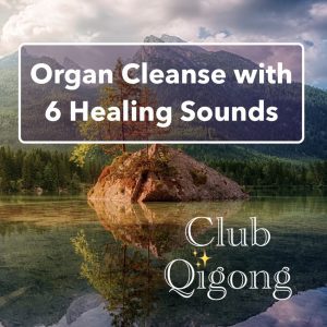 Organ Cleanse with 6 Healing Sounds