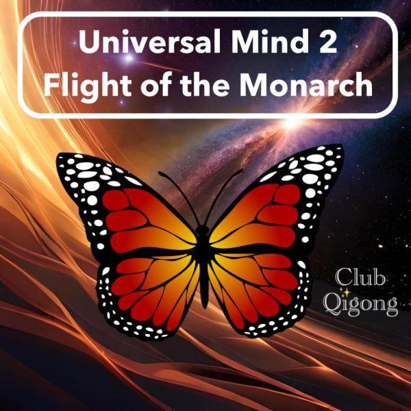 Monarch butterfly meditation