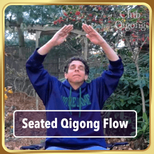 Joe doing a "Seated Qigong Flow"