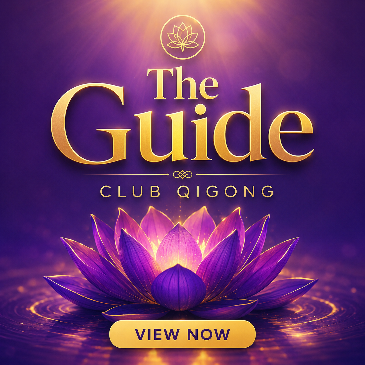 The Club Qigong Guide