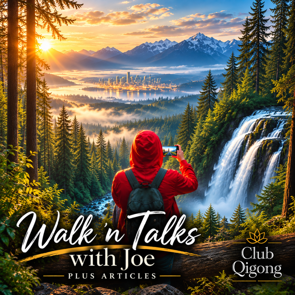 Walks ‘n Talks and Articles with Joe ✨