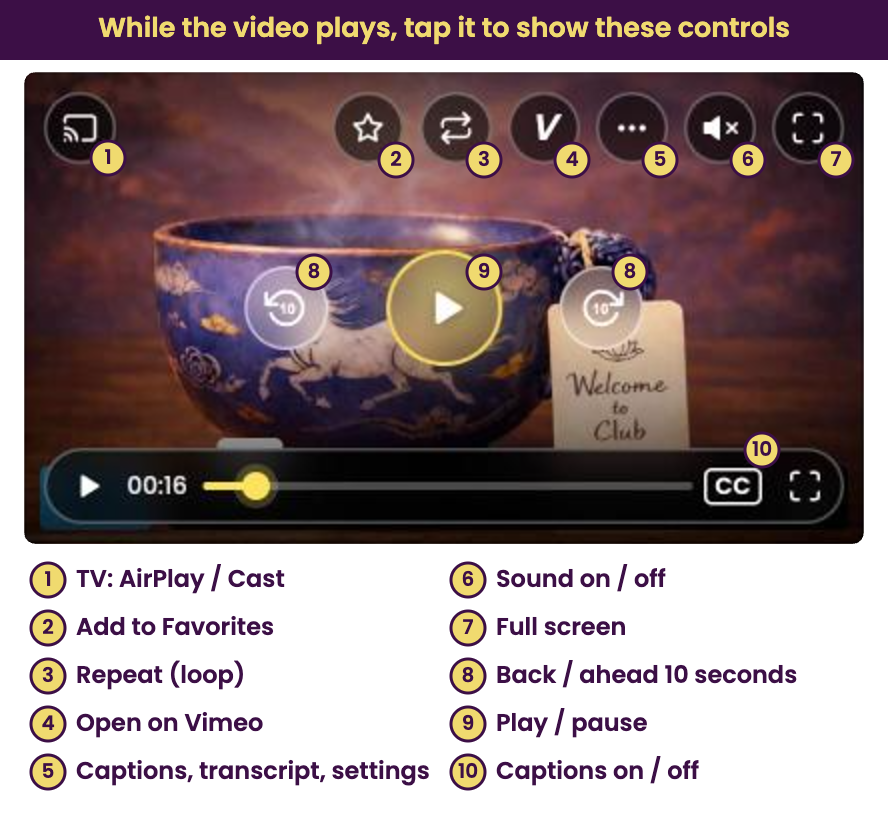 Club Qigong video controls that appear when you tap a playing video: TV (AirPlay or Cast), Add to Favorites, Repeat, Open on Vimeo, More (captions, transcript, settings), sound, full screen, back or ahead 10 seconds, play/pause and captions.